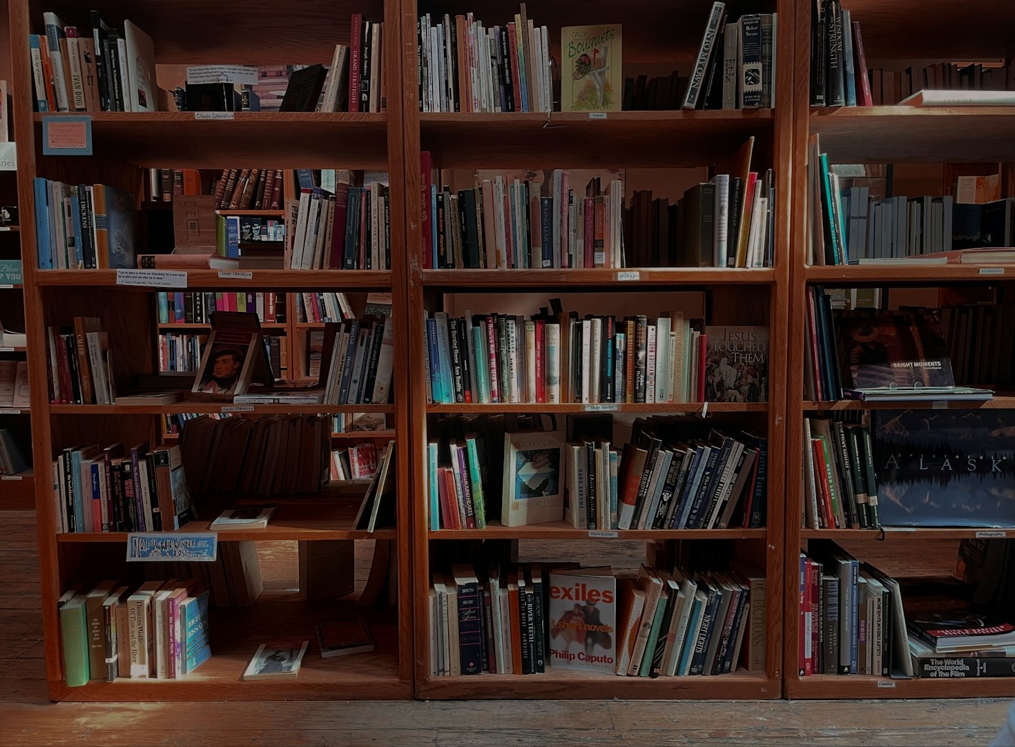 Why Unofficial Translations Bring Stories to Life