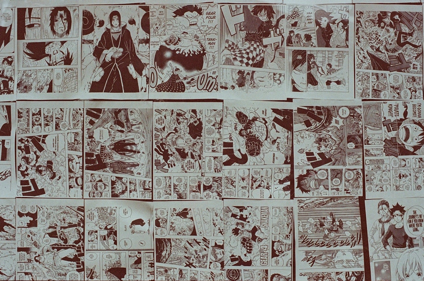 Exploring the Art of Manga Translation